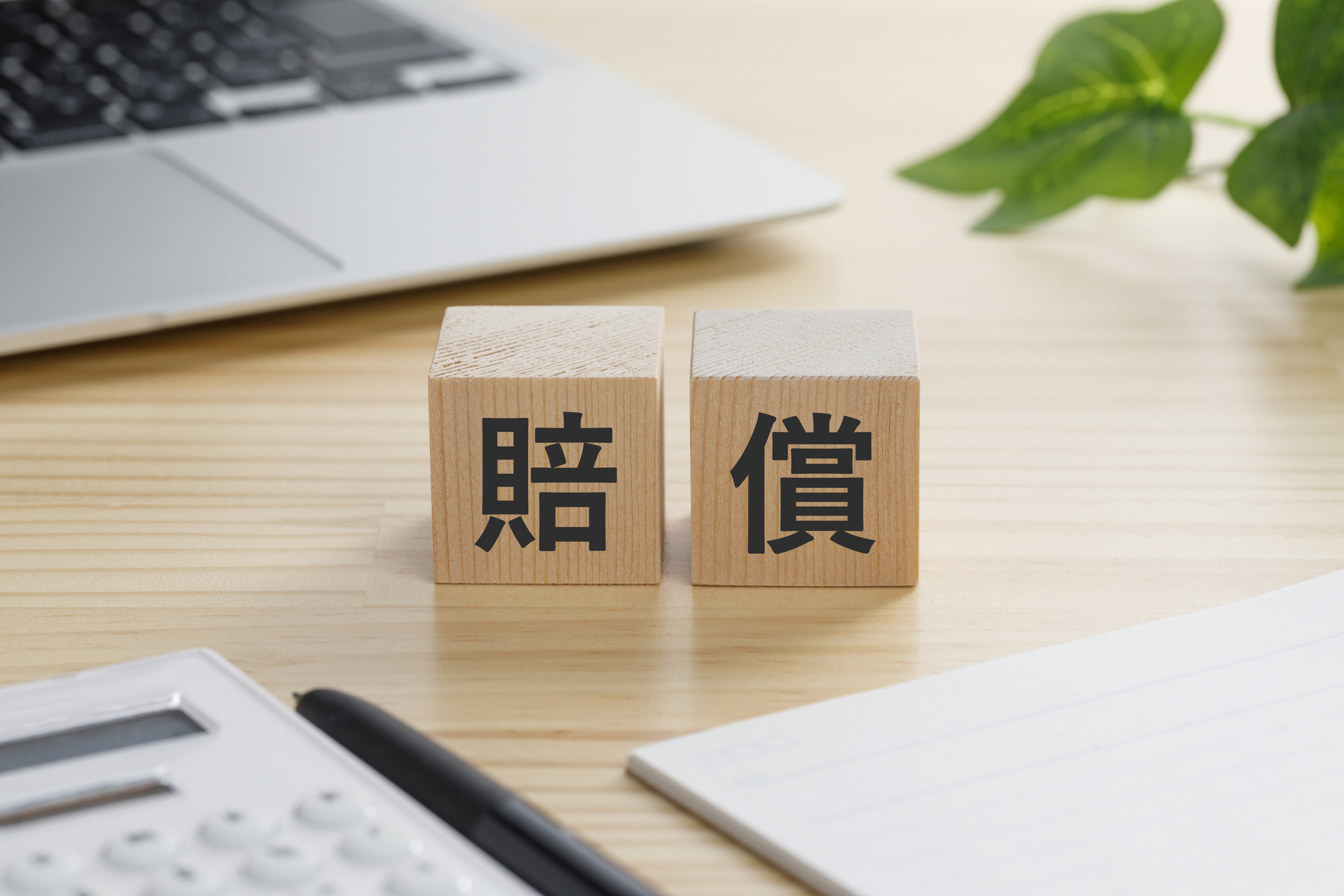 トラブル解決の目安。損害賠償金や慰謝料の「相場」はいくら？